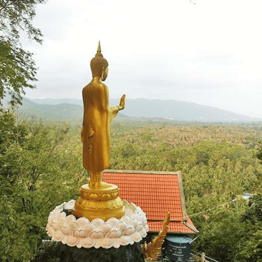 Koh Samui: Island Half Day Shore Excursion - Finding the meeting point at Nathon