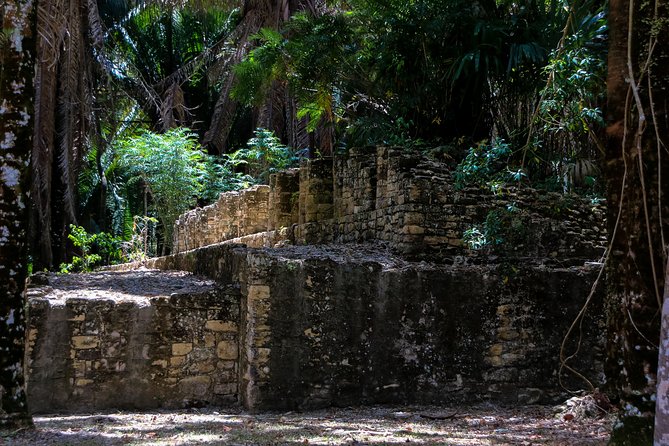 Kohunlich Mayan Ruins Private Shore Excursion - Walking through Kohunlich for 90 minutes