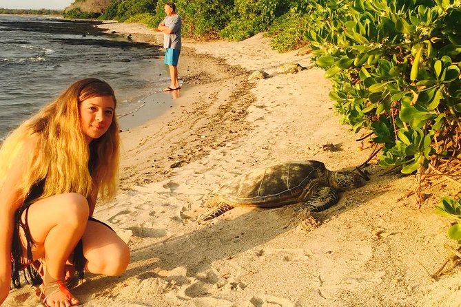 Kona Shore Excursion: Sea Turtles, Historic Kona & Coffee - St. Benedict’s Painted Church and the Captain Cook area