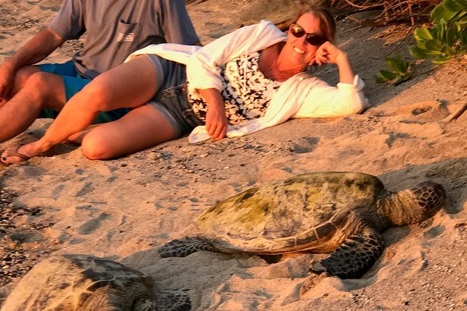 Kona Shore Excursion: Sea Turtles, Historic Kona & Coffee - Seeing Hawaiian green sea turtles responsibly