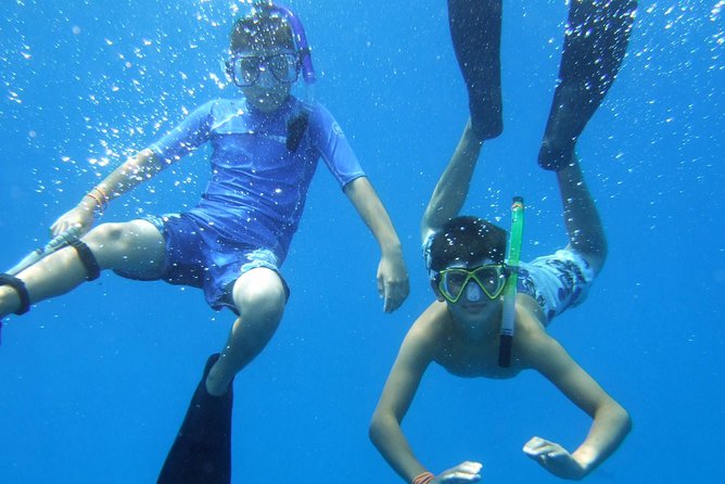Kona Shore Excursion: Wild Dolphin Reefs Snorkel and Sea Caves - What the crew adds to the day