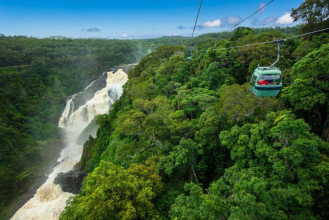 Kuranda Scenic Railway & Skyrail Tour from Port Douglas - The Kuranda Scenic Railway: a slow ride through the forest