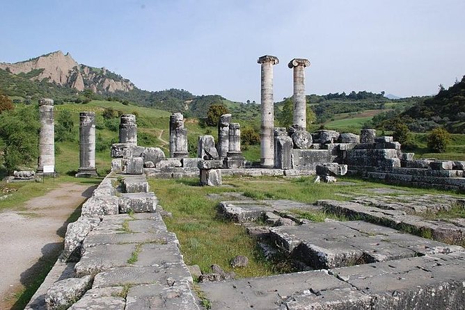 Kusadasi Shore Excursion: Private Tour to Ephesus including Basilica of St John and Temple of Artemis - Starting at Magnesia Gate in Ephesus