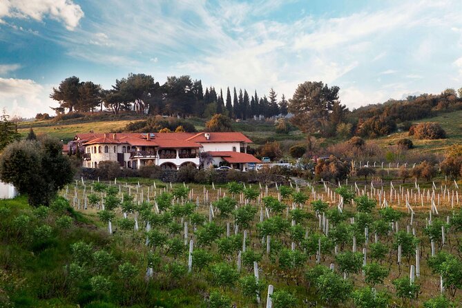 Kusadasi Shore Excursions Ephesus and Wine Tasting Tours - Who should book this Kusadasi excursion?