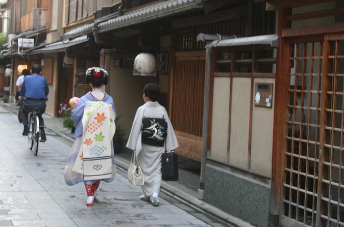 Kyoto private tour (Shore excursion available from Osaka or Kobe port) - What the guides add to the day