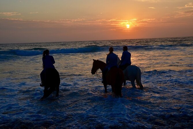 La Bufadora, Markets & Horseback Beach Ride Shore Excursion - Who should book this Ensenada excursion