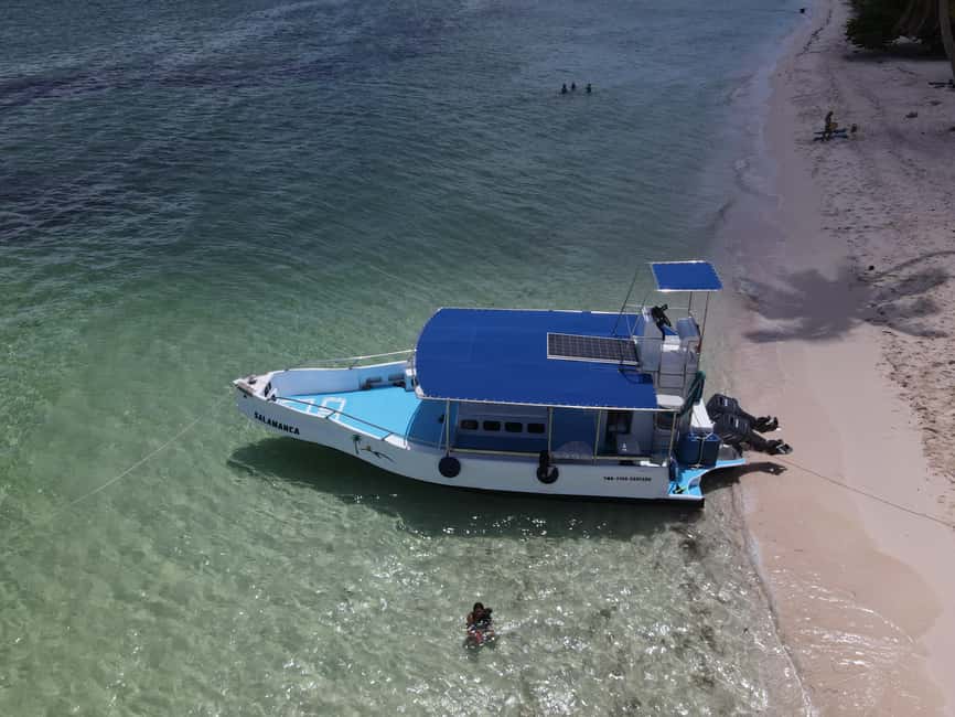 La Romana: Catalina Island for Mein Schiff Cruise Passengers - The Aquarium: a calmer second swim