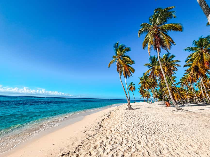 La Romana: Saona Crusoe VIP for cruise guests - Key points at a glance