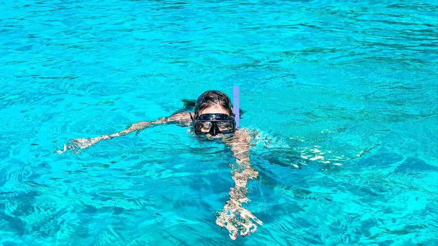 La Romana: Saona Crusoe VIP for cruise guests - Seeing the mangroves from the protected zone
