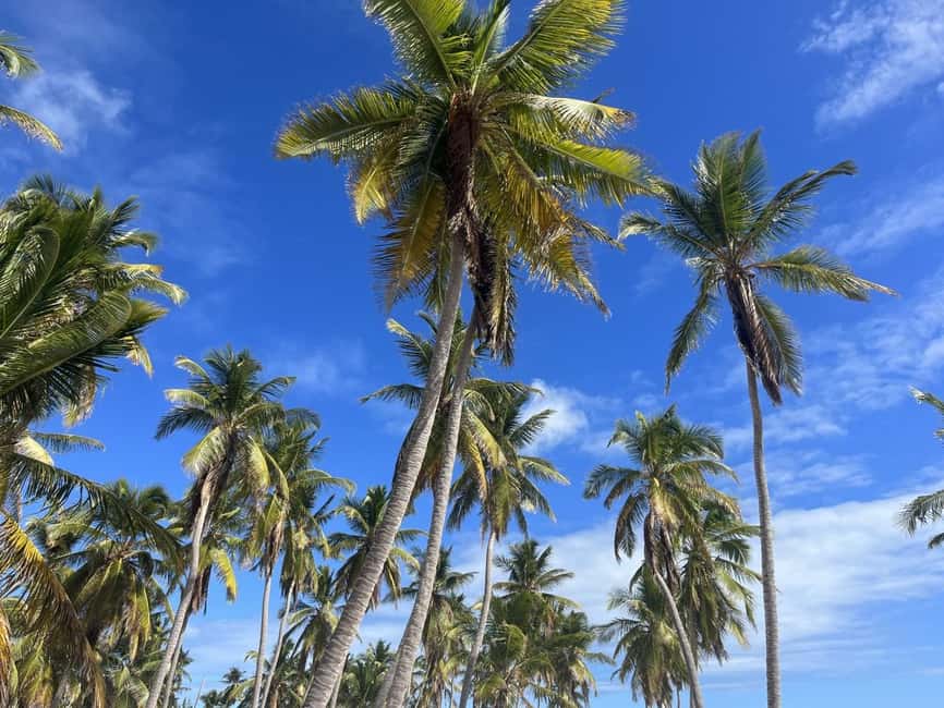 La Romana: Saona Island for Norwegian Sky Cruise Passengers - Playa Dichosa is the day’s best beach pause