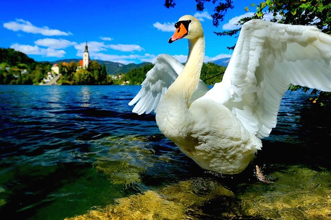 Lake Bled & Ljubljana - Shore Excursion from Trieste - Booking details that can save trouble