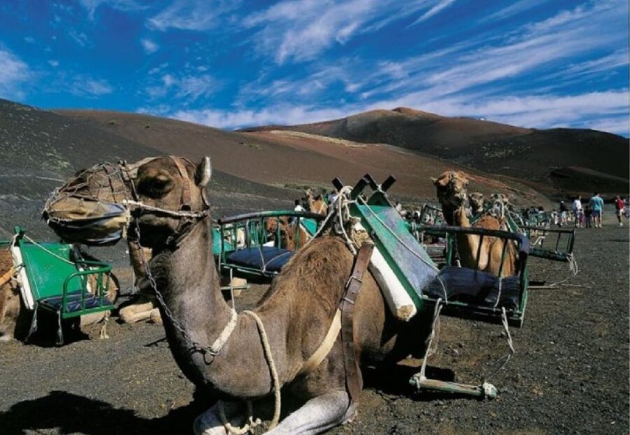 Lanzarote: Day Tour for Cruise Passengers - What $94 buys you
