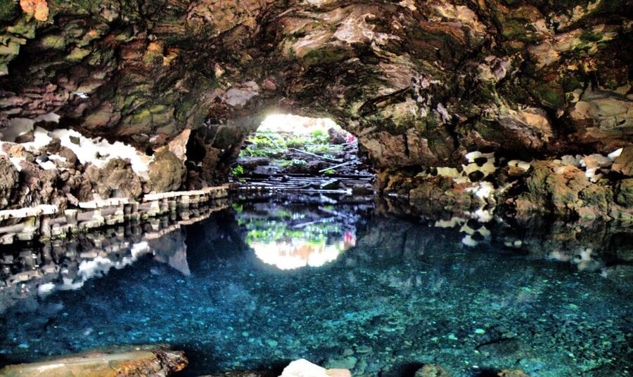 Lanzarote: Jameos del Agua & North Island for Cruise Guests - Guides, transport, and the pace of the morning