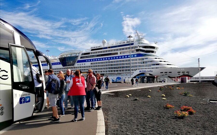Lanzarote: Jameos del Agua & North Island for Cruise Guests - From the harbor to Haría’s Valley of a Thousand Palms