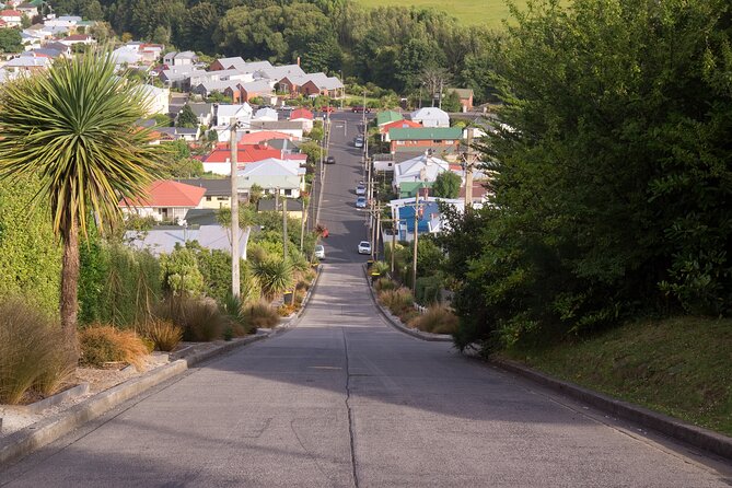 Larnach Castle & Dunedin City Highlights Tour (Shore Excursion) - Key points to know before booking