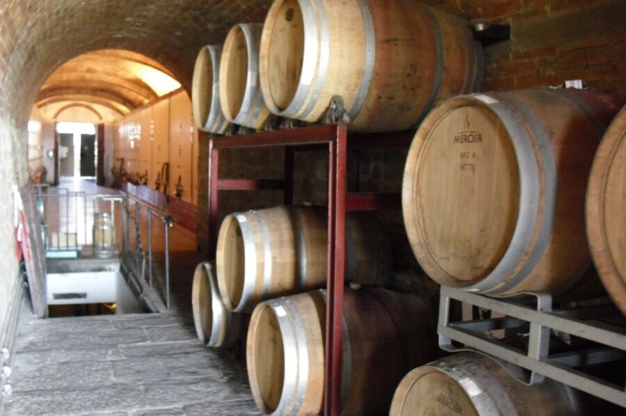 Livorno Port, Pisa, Florence: Full-Day Shore Excursion - A private start at Livorno port