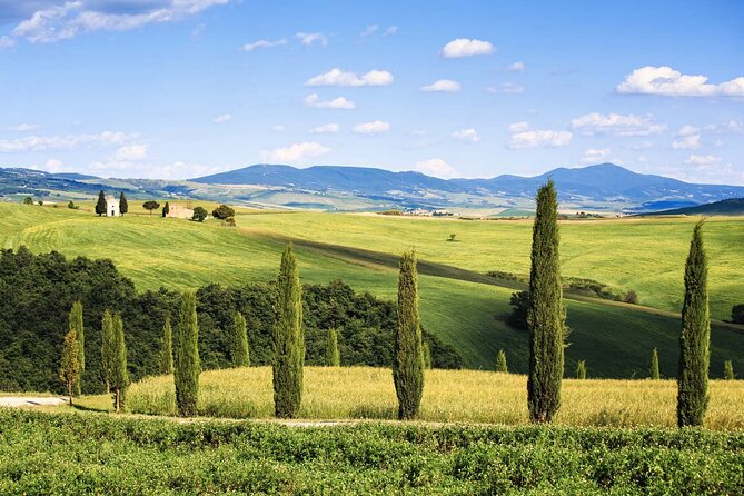 Livorno shore excursion: Bolgheri and Supertuscan private tour - Why the private format is useful on a cruise day