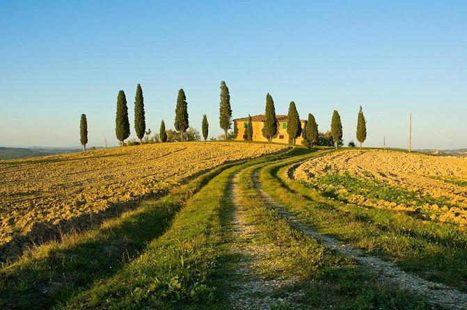 Livorno Shore Excursion: Chianti and Tuscany Countryside Private Wine Tour - How much value do you get for $553.90?