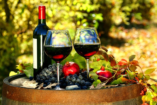 Livorno Shore Excursion: Chianti and Tuscany Countryside Private Wine Tour - Timing, flexibility, and ship-day safety