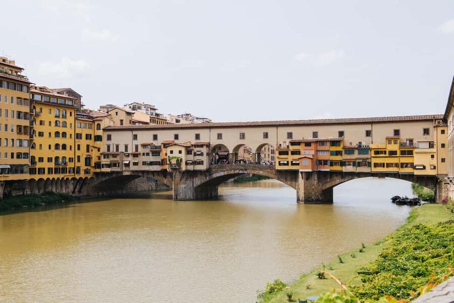 Livorno Shore Excursion: Florence & Pisa, Accademia & Tower - Is $41 good value?