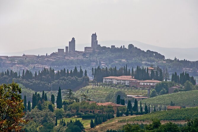 Livorno Shore Excursion: Private Day Trip to Siena and San Gimignano - Who should book this experience
