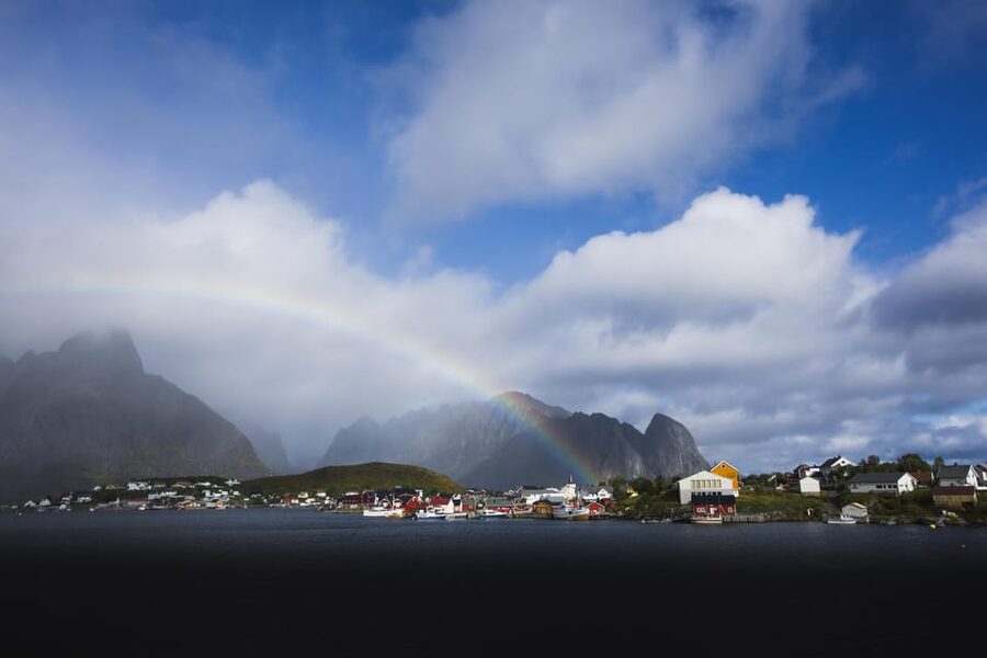 Lofoten: Private tour for cruise visitors (from Leknes) - Key points at a glance