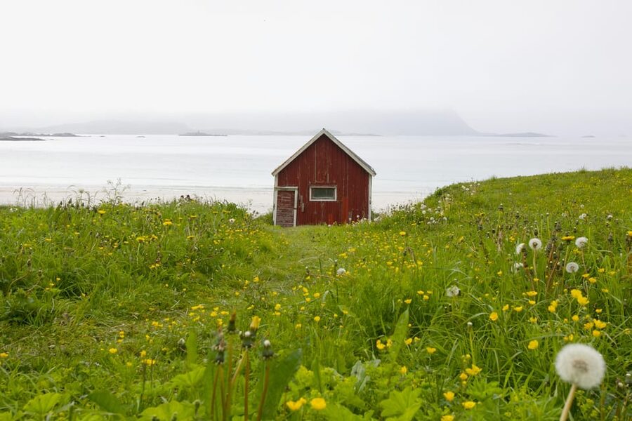 Lofoten: Private tour for cruise visitors (from Leknes) - Nusfjord and the old fishing cabins