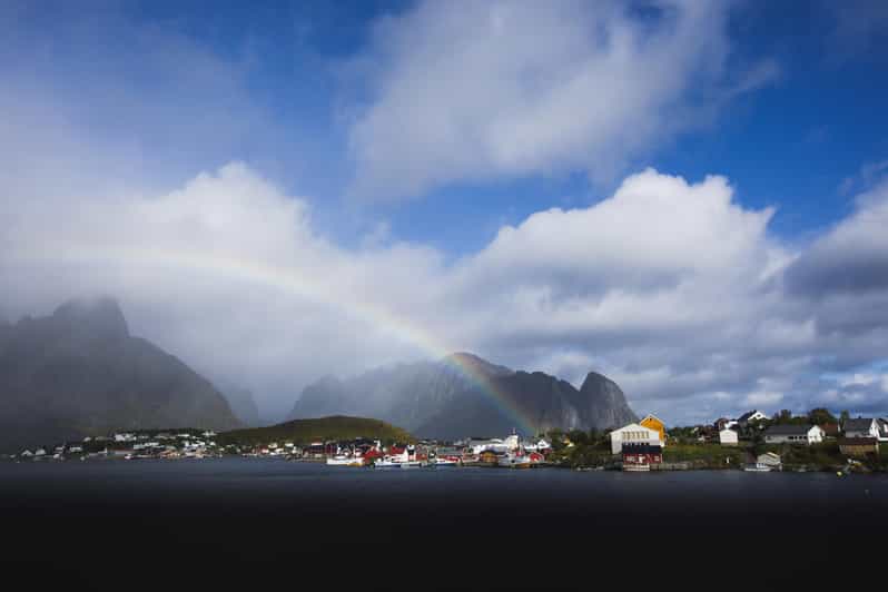 Lofoten: Private tour for cruise visitors (from Leknes) - Wildlife along the way
