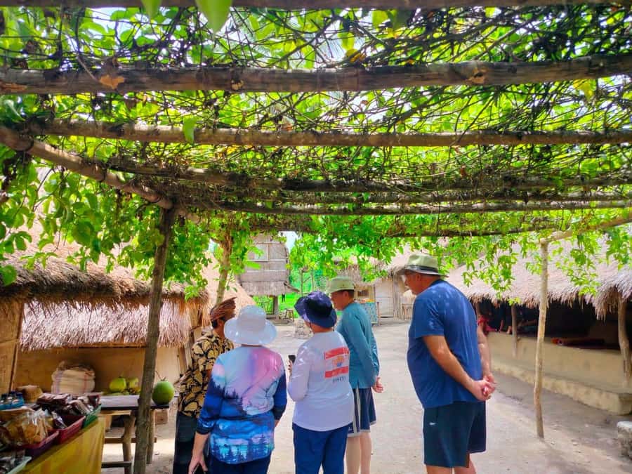 Lombok: Cultural Day Tour & Beach Pickup Cruise Port/Hotel - Guides, drivers, and what they actually do