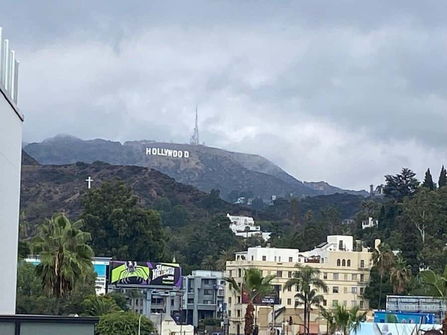 Los Angeles: City Highlights Tour From Cruise Port - Santa Monica and the famous coast