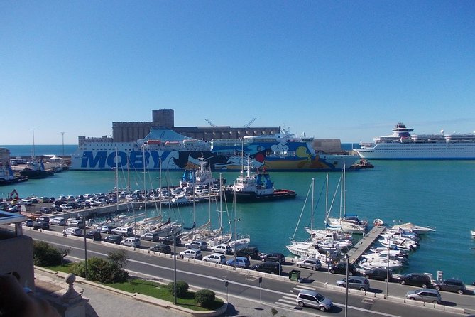 Luxury Civitavecchia to Rome Private Transfer - Operating hours and seasonal planning