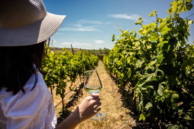 LUXURY PRIVATE Wine Tasting in CRETE (also for CRUISE SHIPS) - Choosing between the two tasting options