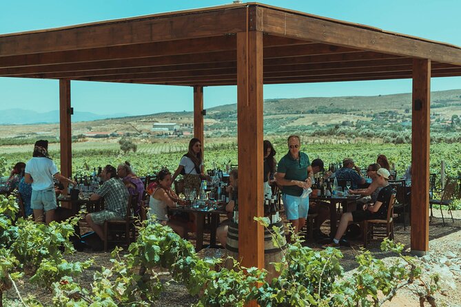 LUXURY PRIVATE Wine Tasting in CRETE (also for CRUISE SHIPS) - What the seven-wine tasting adds