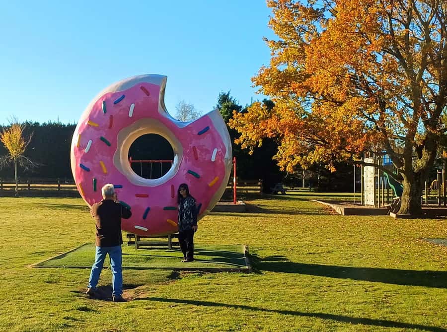 Lyttelton: Shore Excursion, Castle Hill & Inland Canterbury - Key points at a glance