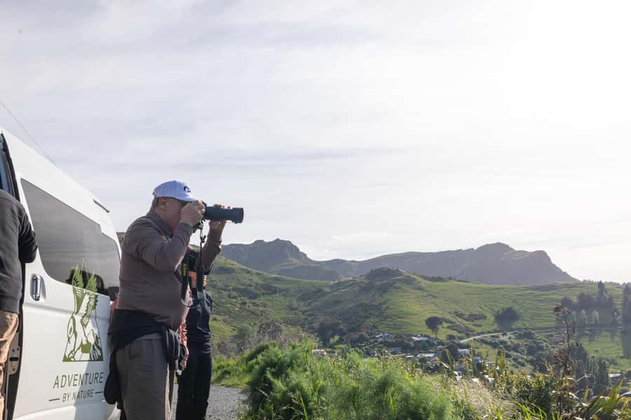 Lyttelton: Shore Excursion, Castle Hill & Inland Canterbury - Springfield and the famous giant doughnut