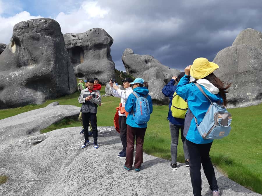 Lyttelton: Shore Excursion, Castle Hill & Inland Canterbury - What the guide adds to the day