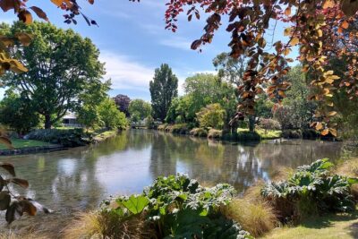 Lyttelton Shore Excursion: Christchurch Sightseeing with Antarctic Center