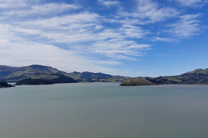 Lyttelton Shore Excursion: Christchurch Sightseeing with Antarctic Center - Two hours at the International Antarctic Centre