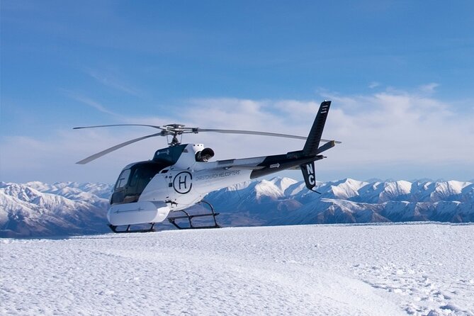 Lyttelton Shore Excursion: Christchurch Sightseeing with Antarctic Center - Why timing matters so much