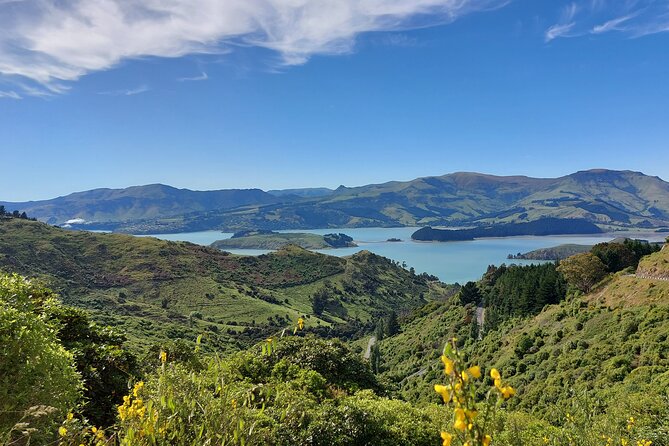 Lyttelton Shore Excursion: Christchurch Sightseeing with Jet Boating - A quiet half-hour at Mona Vale