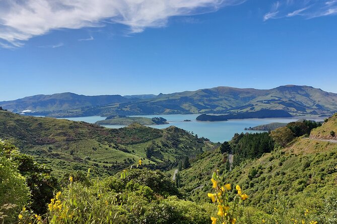 Lyttelton Shore Excursion: Christchurch & Willowbank Tour - Starting at Lyttelton Harbour