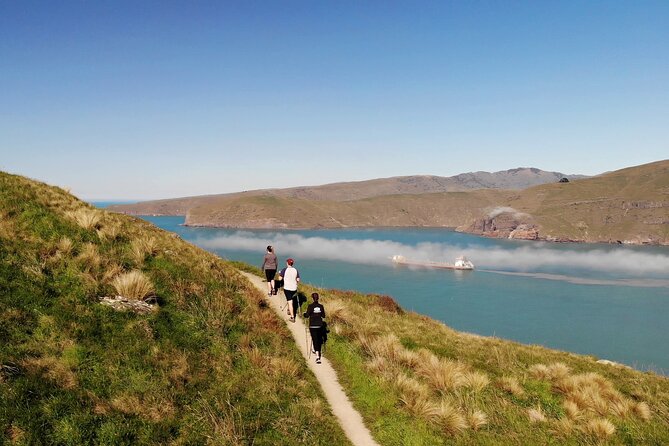 Lyttelton Shore Excursion - Guided Walking Tour and Picnic - What makes this outing worth your time