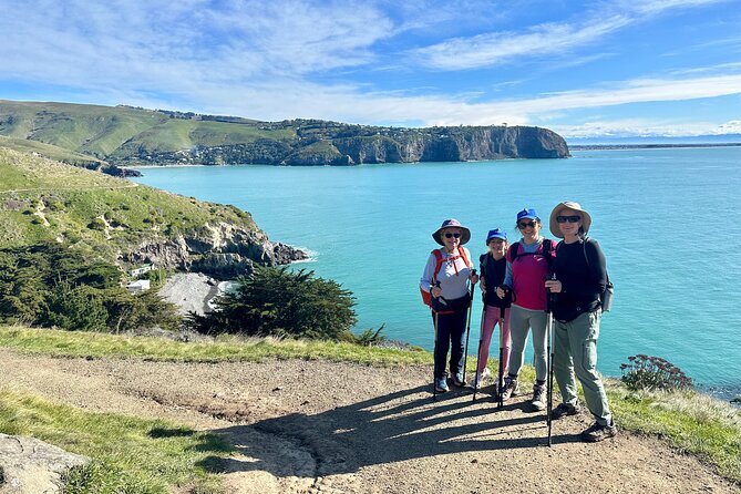 Lyttelton Shore Excursion - Guided Walking Tour and Picnic - A guided walk that feels personal