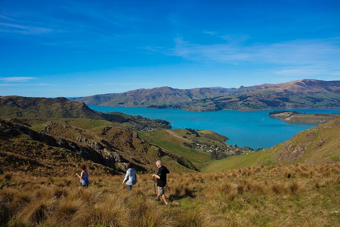 Lyttelton Shore Excursion - Guided Walking Tour and Picnic - The $186.17 price: what you receive