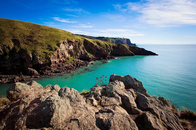 Lyttelton Shore Excursion - Guided Walking Tour and Picnic - How hard is the walk?