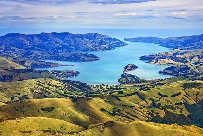 Lyttelton Shore Excursion: Twin Harbour Tour (Lyttelton & Akaroa) - Key points at a glance