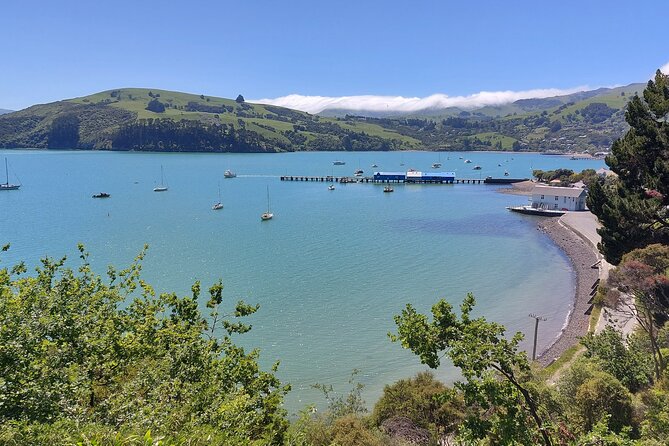 Lyttelton Shore Excursion: Twin Harbour Tour (Lyttelton & Akaroa) - Akaroa and the two-hour nature cruise
