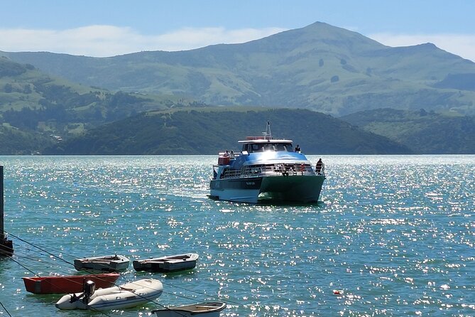 Lyttelton Shore Excursion: Twin Harbour Tour (Lyttelton & Akaroa) - Who will enjoy this excursion most