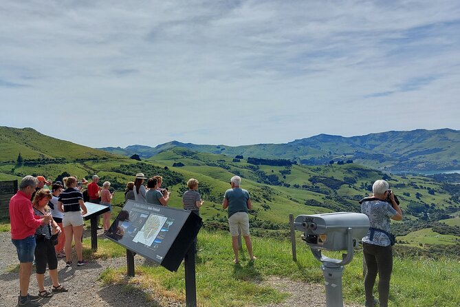 Lyttelton Shore Excursion: Twin Harbour Tour (Lyttelton & Akaroa) - Getting out of Lyttelton port