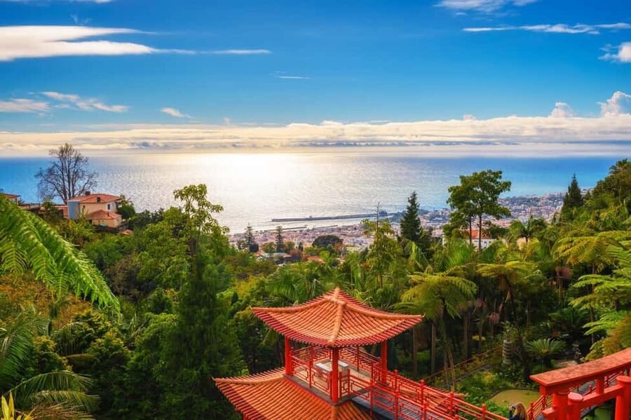 Madeira: Private Tour for Cruise Ship Passengers - Monte and the viewpoints above Funchal